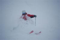 Ski Marmot Basin