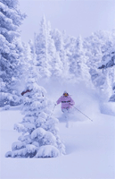 Ski Vail
