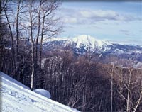 Click Here for a larger view